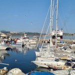 IMG-20220606-WA0081
