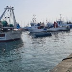 IMG-20220606-WA0107